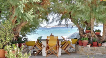Η αυλή των δωματίων Λεμονιά στη Σίφνο